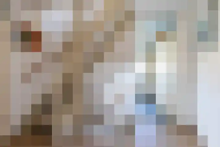 Johan Ellenbergerstraat 18 Groningen thumbnail 23