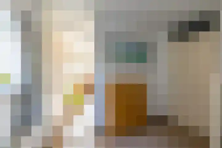 Johan Ellenbergerstraat 18 Groningen thumbnail 27