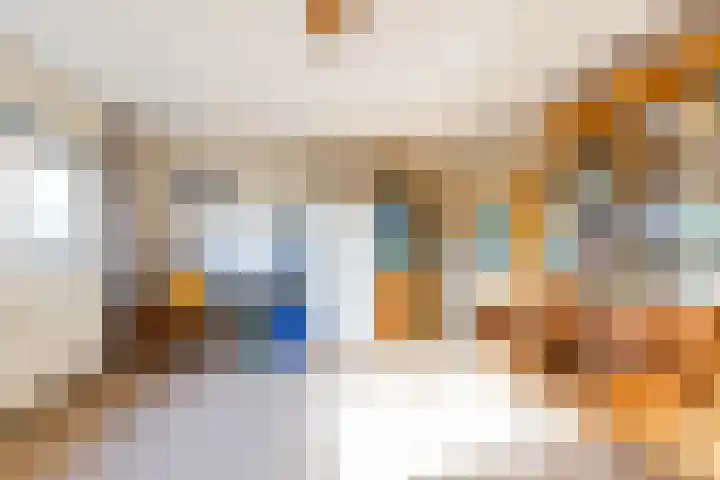 Johan Ellenbergerstraat 18 Groningen thumbnail 35