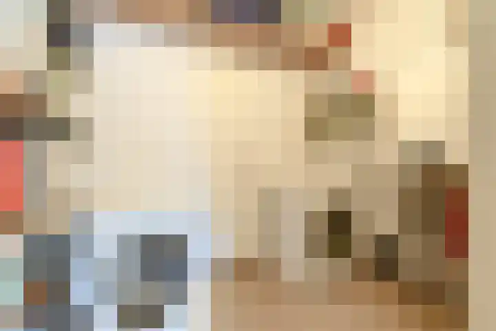 Johan Ellenbergerstraat 18 Groningen thumbnail 37