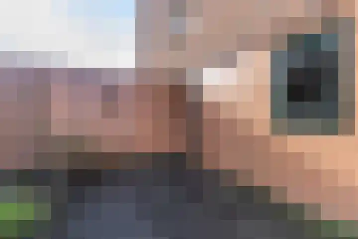 Johan Ellenbergerstraat 18 Groningen thumbnail 39