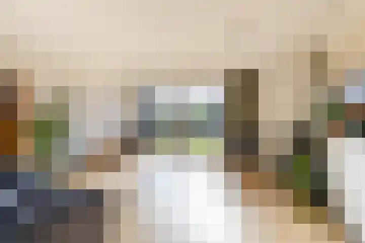 Johan Ellenbergerstraat 18 Groningen thumbnail 4