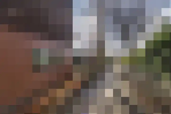 Johan Ellenbergerstraat 18 Groningen thumbnail 41