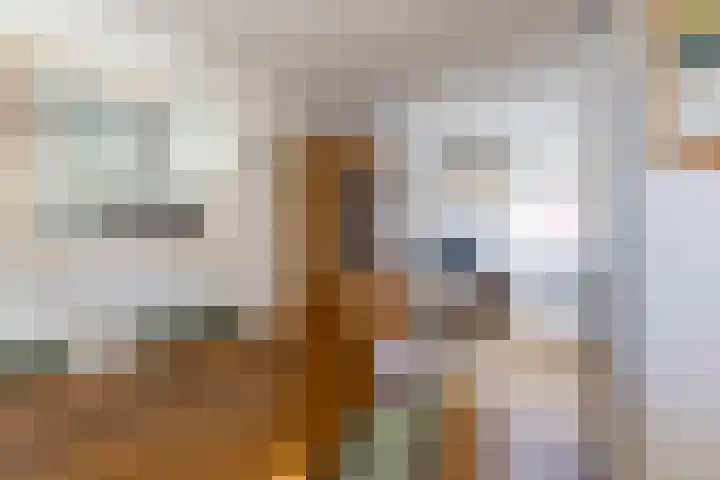 Johan Ellenbergerstraat 18 Groningen thumbnail 8
