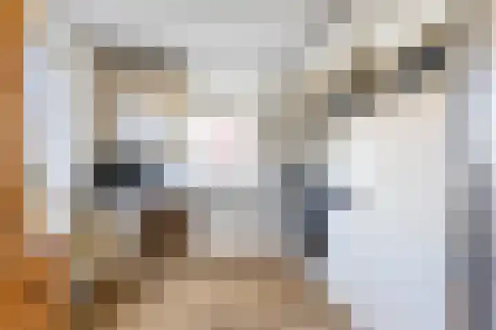 Johan Ellenbergerstraat 18 Groningen thumbnail 9