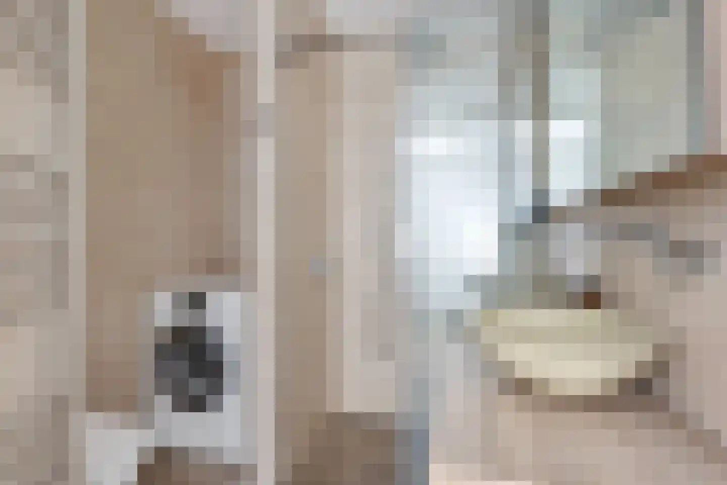 Johan Ellenbergerstraat 3 Groningen thumbnail 18