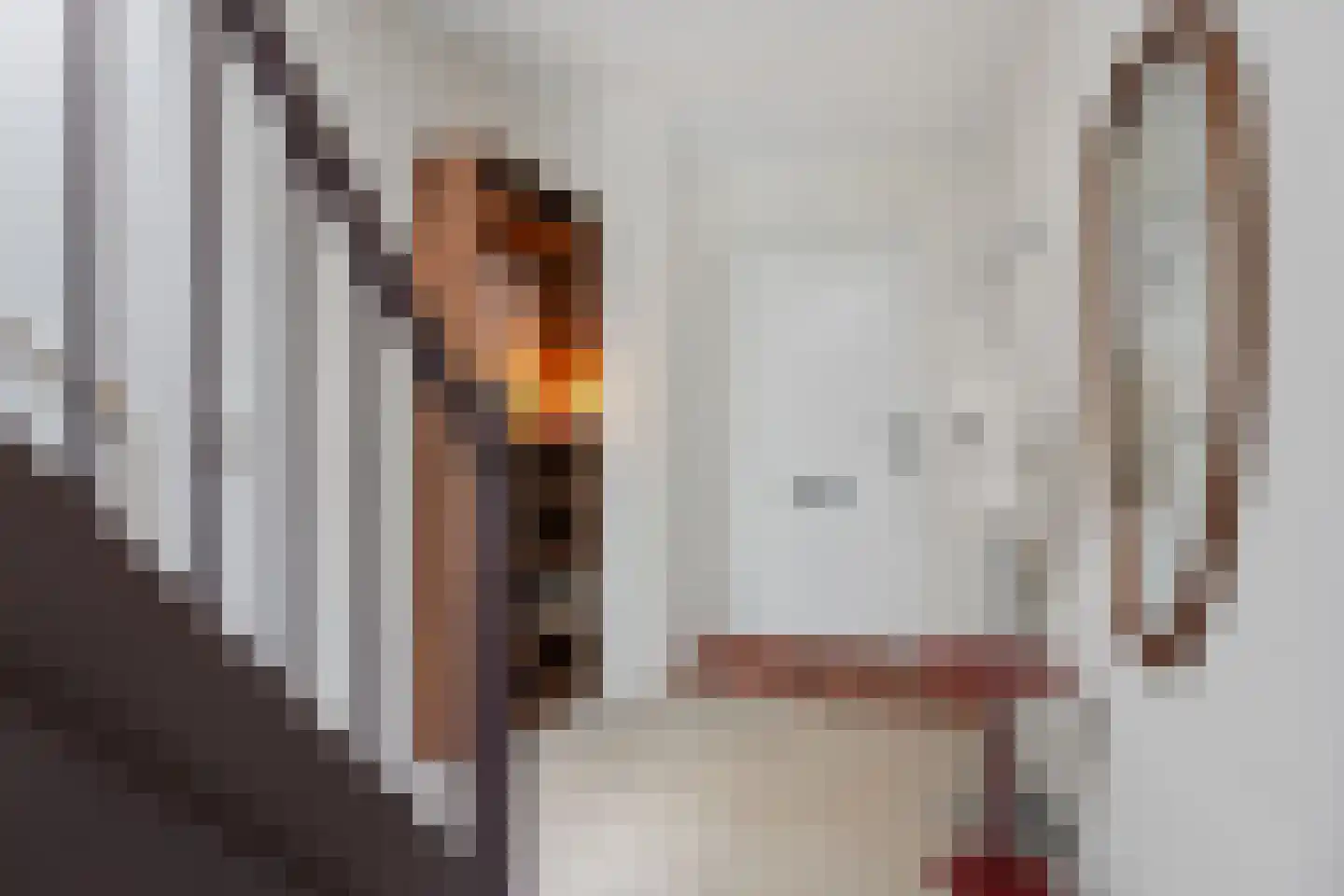 Johan Ellenbergerstraat 3 Groningen thumbnail 22