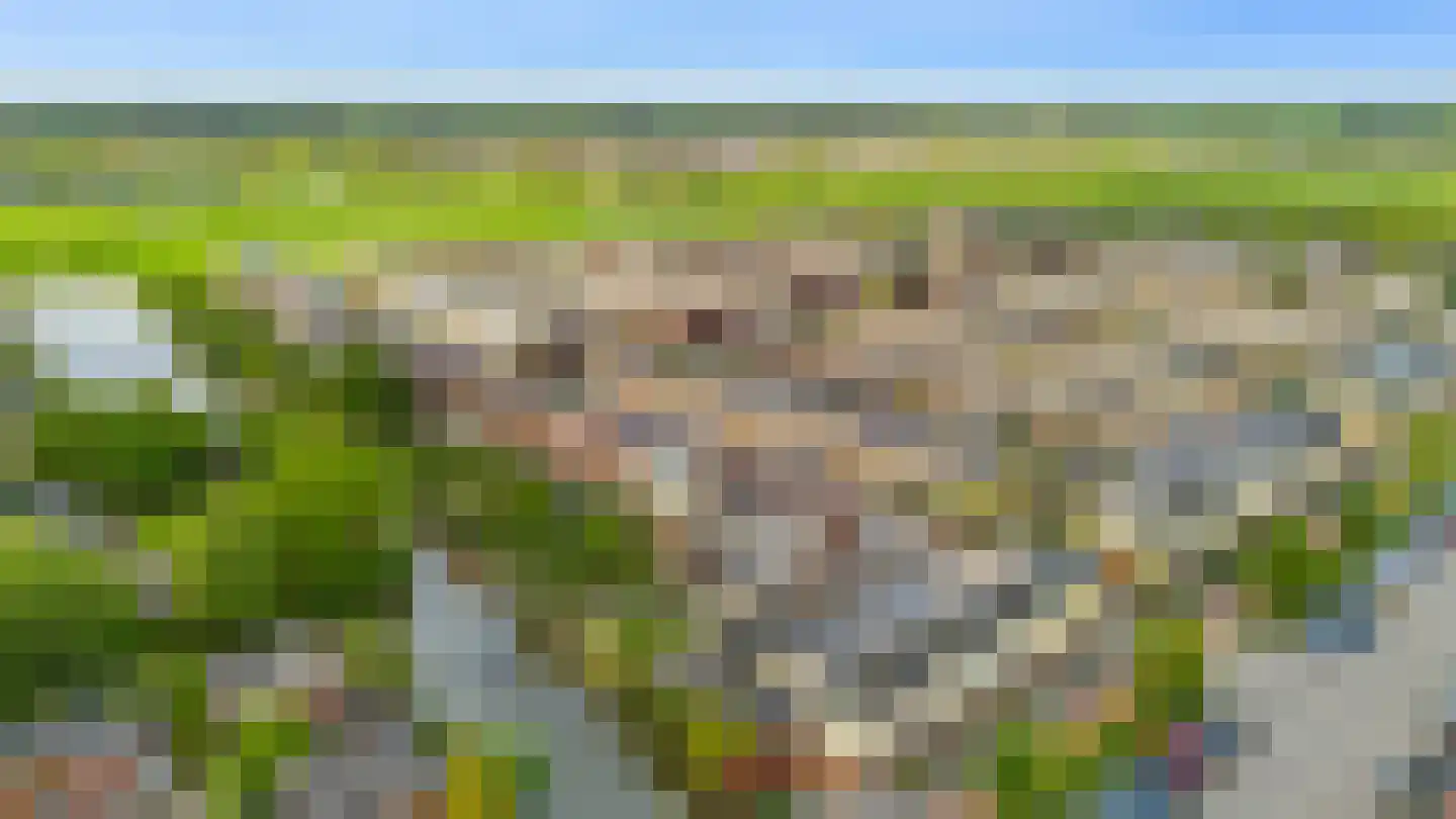 Johan Ellenbergerstraat 3 Groningen thumbnail 39