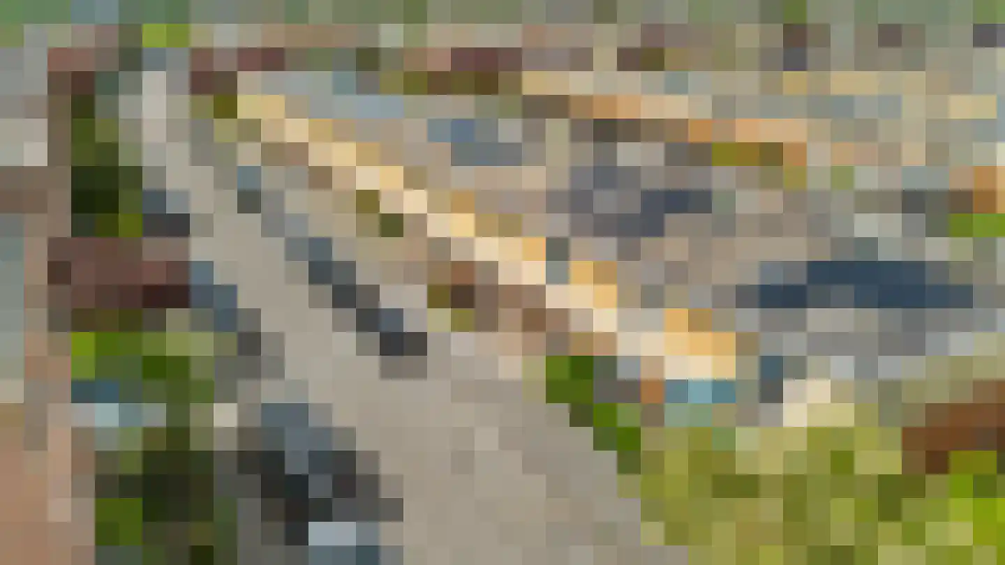 Johan Ellenbergerstraat 3 Groningen thumbnail 6