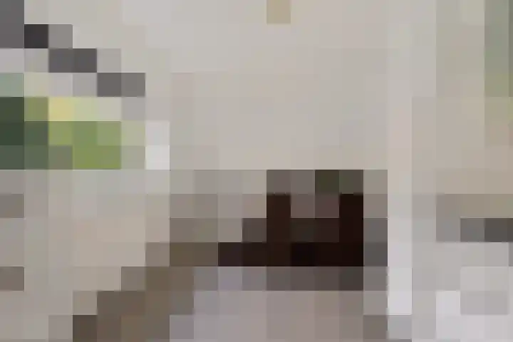 Johan Ellenbergerstraat 4 Groningen thumbnail 12