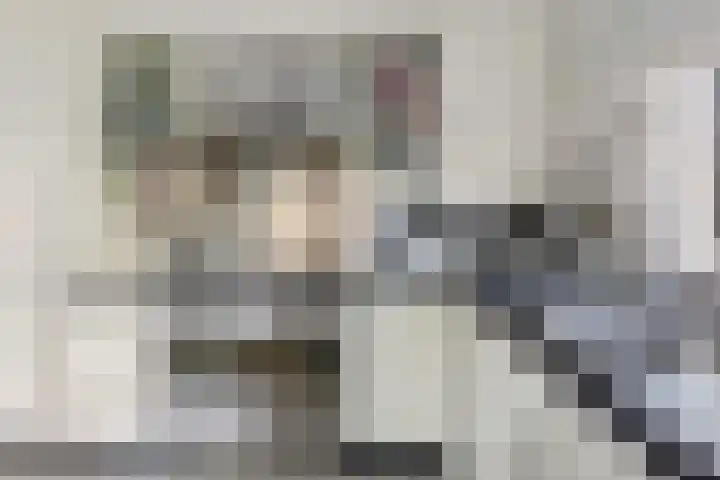 Johan Ellenbergerstraat 4 Groningen thumbnail 13