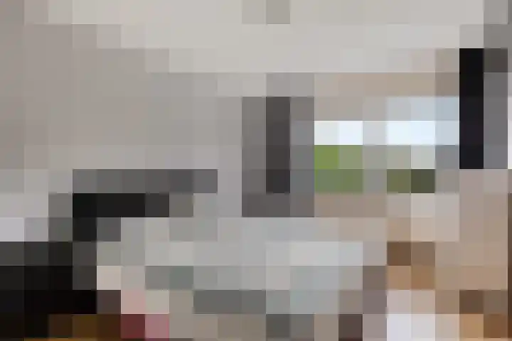 Johan Ellenbergerstraat 4 Groningen thumbnail 27