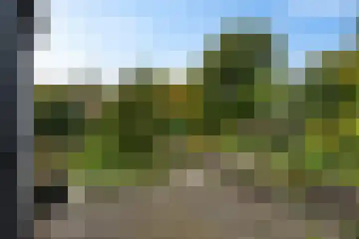 Johan Ellenbergerstraat 4 Groningen thumbnail 33