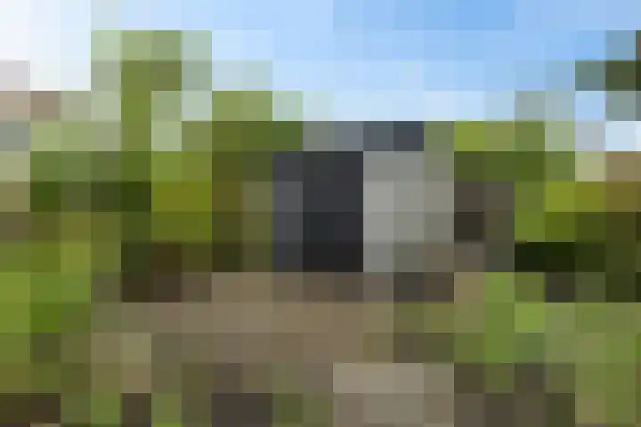 Johan Ellenbergerstraat 4 Groningen thumbnail 34