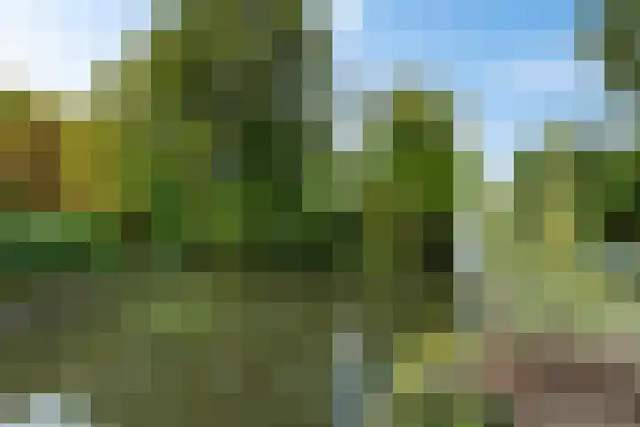 Johan Ellenbergerstraat 4 Groningen thumbnail 35
