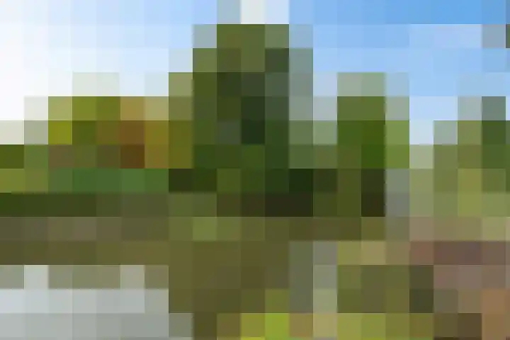 Johan Ellenbergerstraat 4 Groningen thumbnail 36