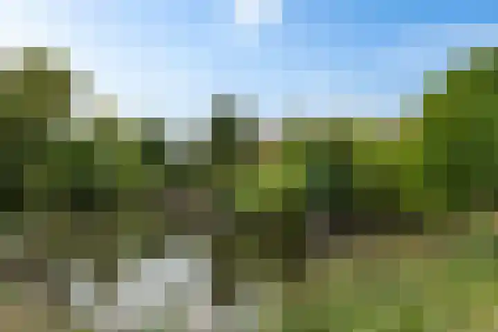 Johan Ellenbergerstraat 4 Groningen thumbnail 37