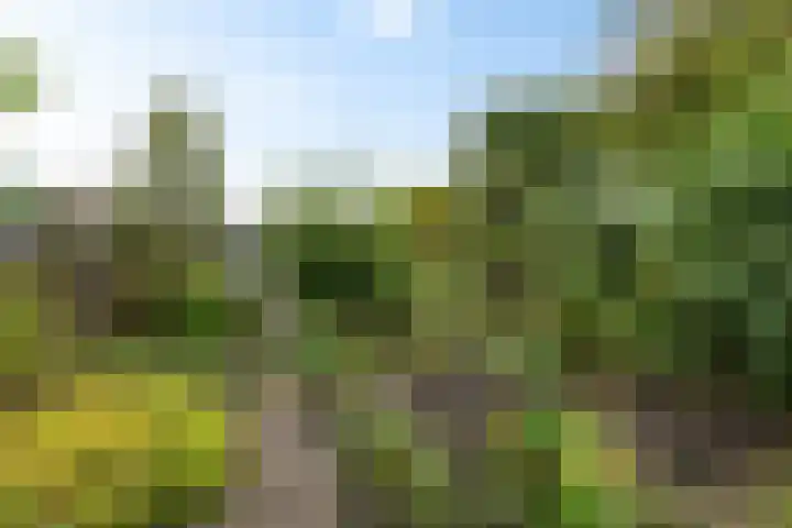 Johan Ellenbergerstraat 4 Groningen thumbnail 38