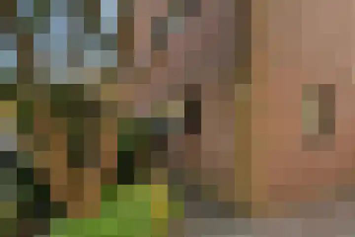Johan Ellenbergerstraat 4 Groningen thumbnail 5
