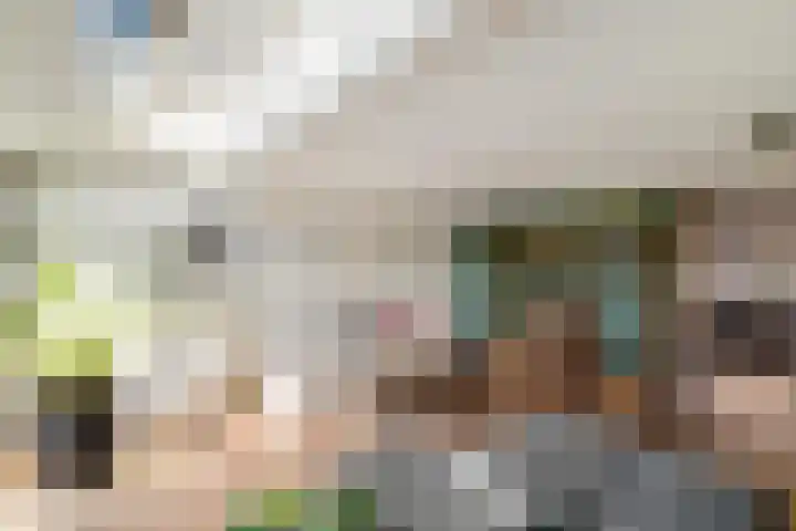 Johan Ellenbergerstraat 40 Groningen thumbnail 15