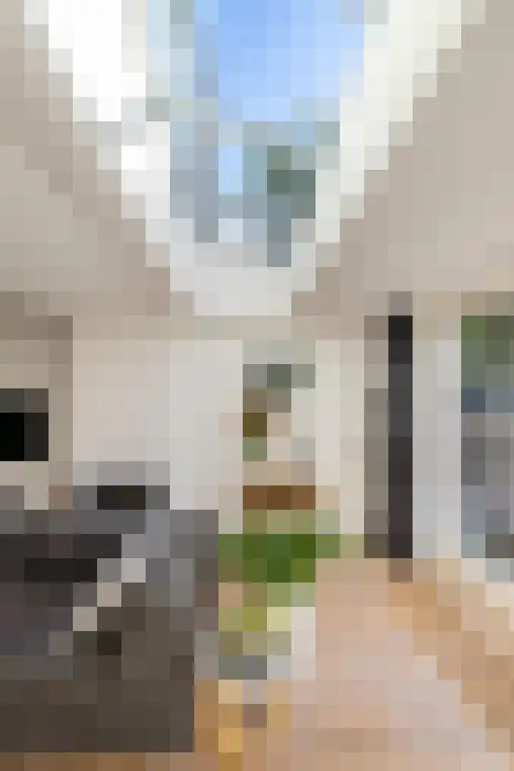 Johan Ellenbergerstraat 40 Groningen thumbnail 16