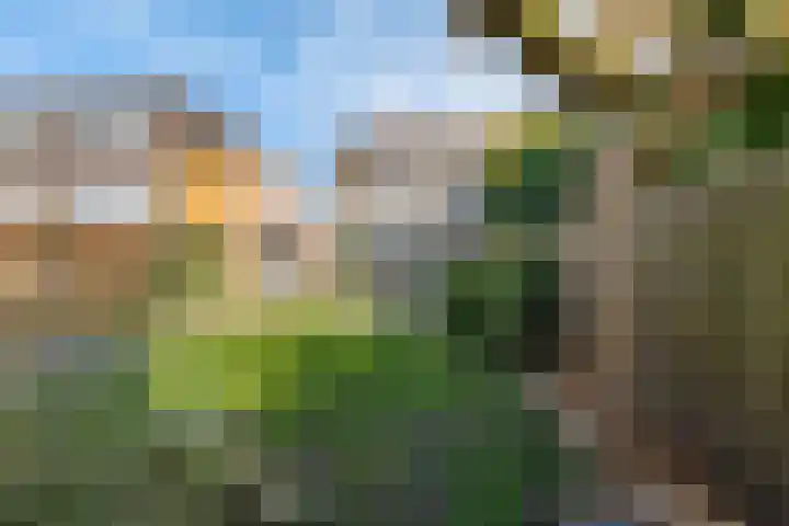 Johan Ellenbergerstraat 40 Groningen thumbnail 17