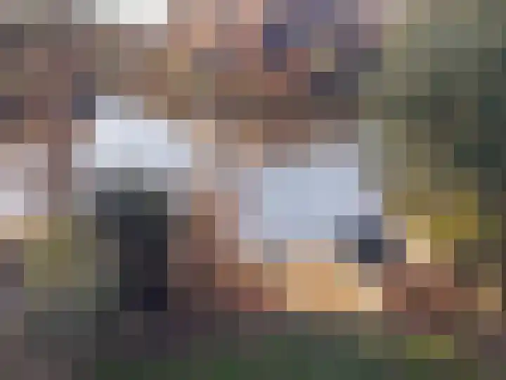 Johan Ellenbergerstraat 40 Groningen thumbnail 25
