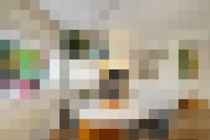 Johan Ellenbergerstraat 40 Groningen thumbnail 31