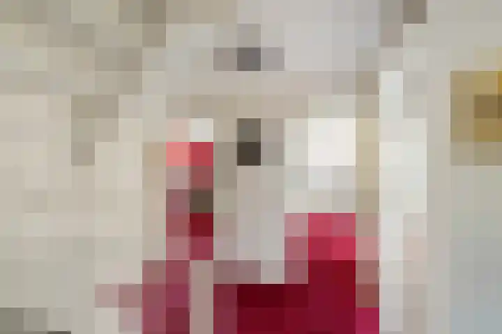 Johan Ellenbergerstraat 40 Groningen thumbnail 32