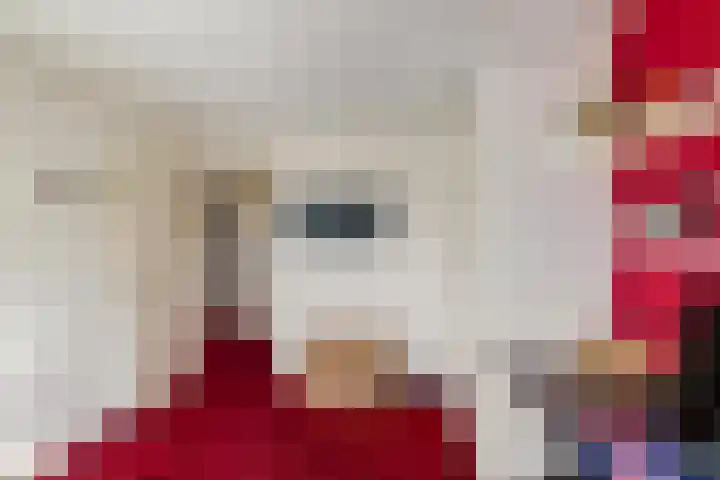 Johan Ellenbergerstraat 40 Groningen thumbnail 36