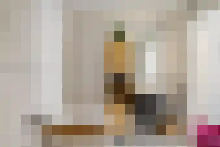 Johan Ellenbergerstraat 40 Groningen thumbnail 38