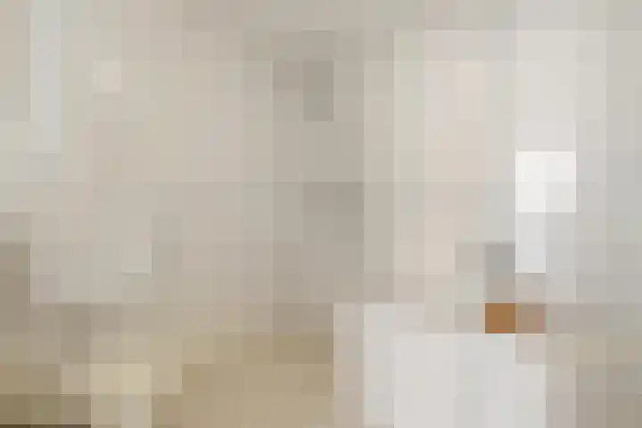 Johan Ellenbergerstraat 40 Groningen thumbnail 39