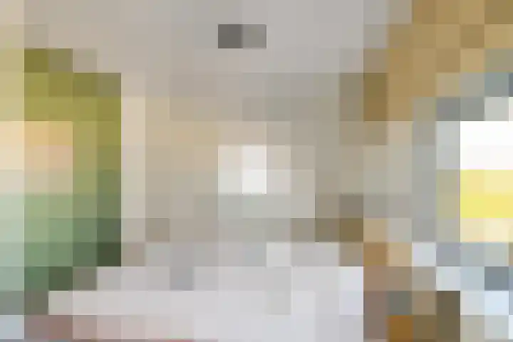 Johan Ellenbergerstraat 40 Groningen thumbnail 44