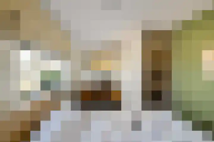 Johan Ellenbergerstraat 40 Groningen thumbnail 45