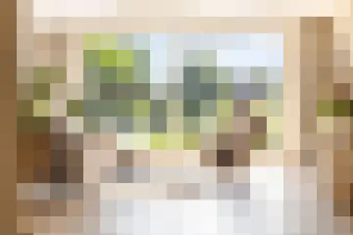 Johan Ellenbergerstraat 42 Groningen thumbnail 11