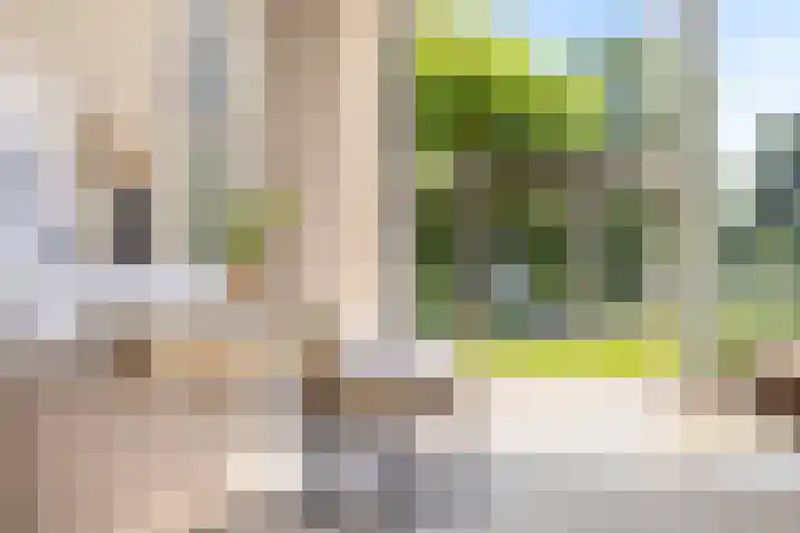 Johan Ellenbergerstraat 42 Groningen thumbnail 13