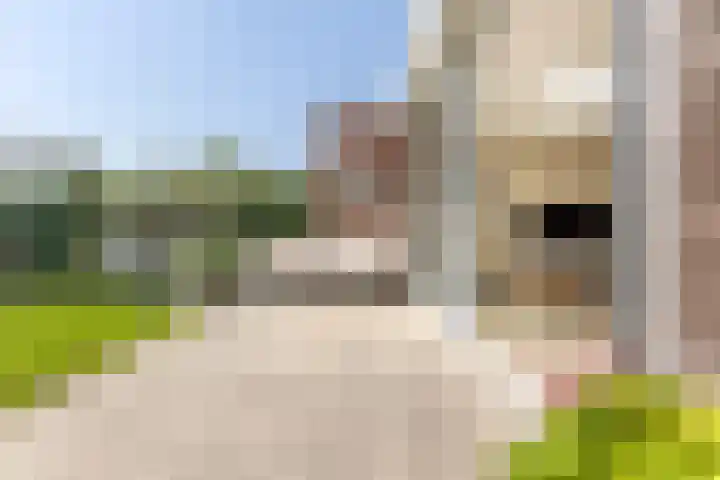Johan Ellenbergerstraat 42 Groningen thumbnail 17
