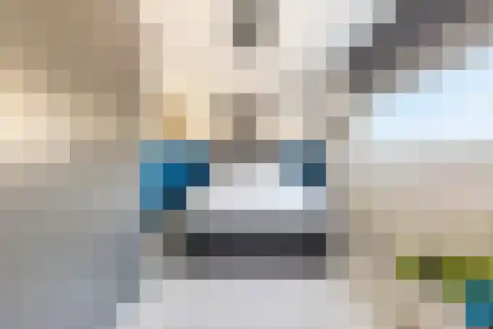 Johan Ellenbergerstraat 42 Groningen thumbnail 25