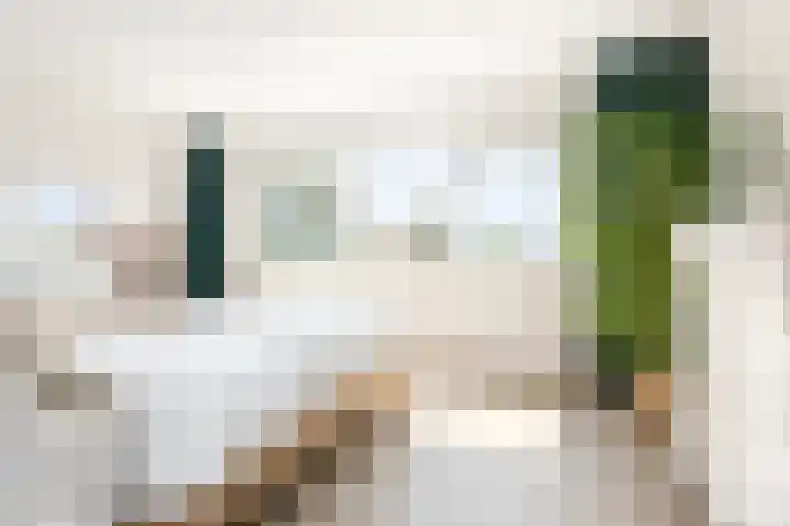 Johan Ellenbergerstraat 42 Groningen thumbnail 34
