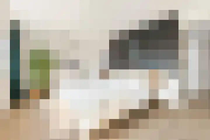 Johan Ellenbergerstraat 42 Groningen thumbnail 35