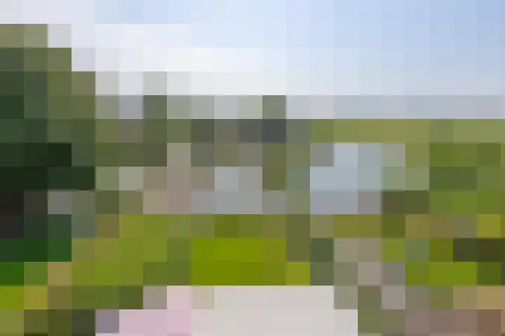 Johan Ellenbergerstraat 42 Groningen thumbnail 36