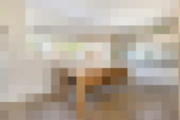 Johan Ellenbergerstraat 42 Groningen thumbnail 4