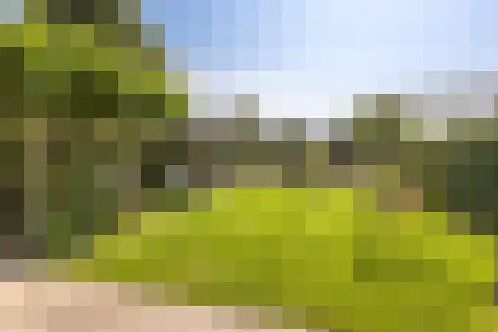 Johan Ellenbergerstraat 42 Groningen thumbnail 42