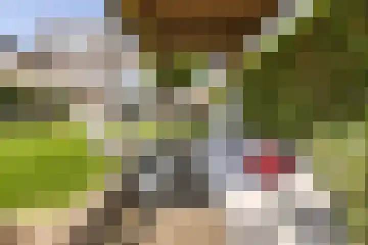 Johan Ellenbergerstraat 42 Groningen thumbnail 43