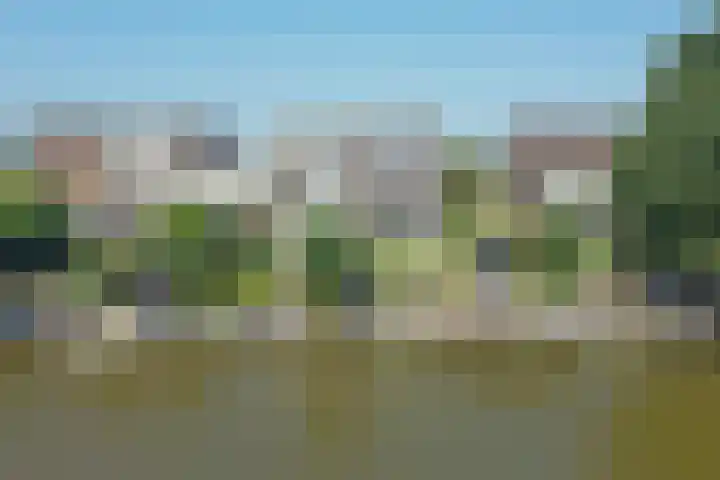 Johan Ellenbergerstraat 42 Groningen thumbnail 46