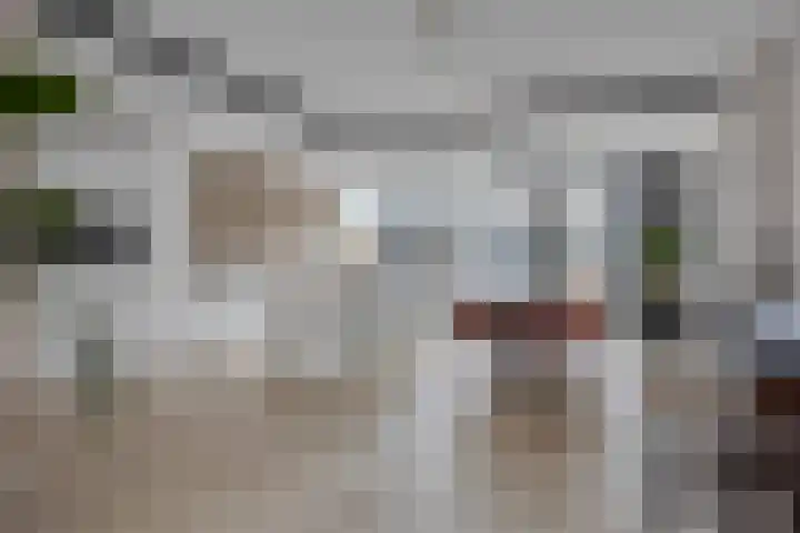 Johan Enthovenstraat 32 Rosmalen thumbnail 13