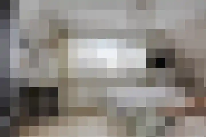 Johan Enthovenstraat 32 Rosmalen thumbnail 32