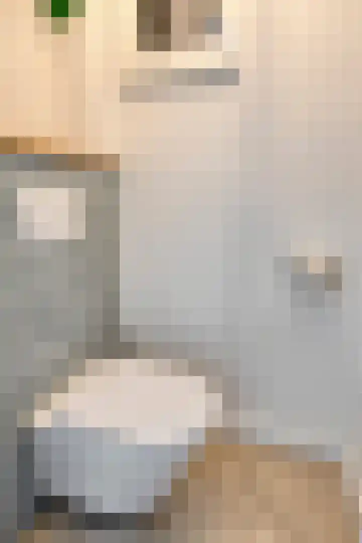 Johan Enthovenstraat 32 Rosmalen thumbnail 8