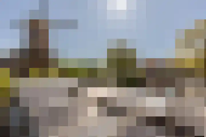 Johan Evertsenlaan 19 Maassluis thumbnail 38