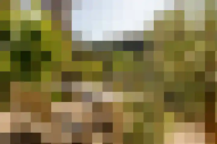 Johan Evertsenlaan 19 Maassluis thumbnail 4